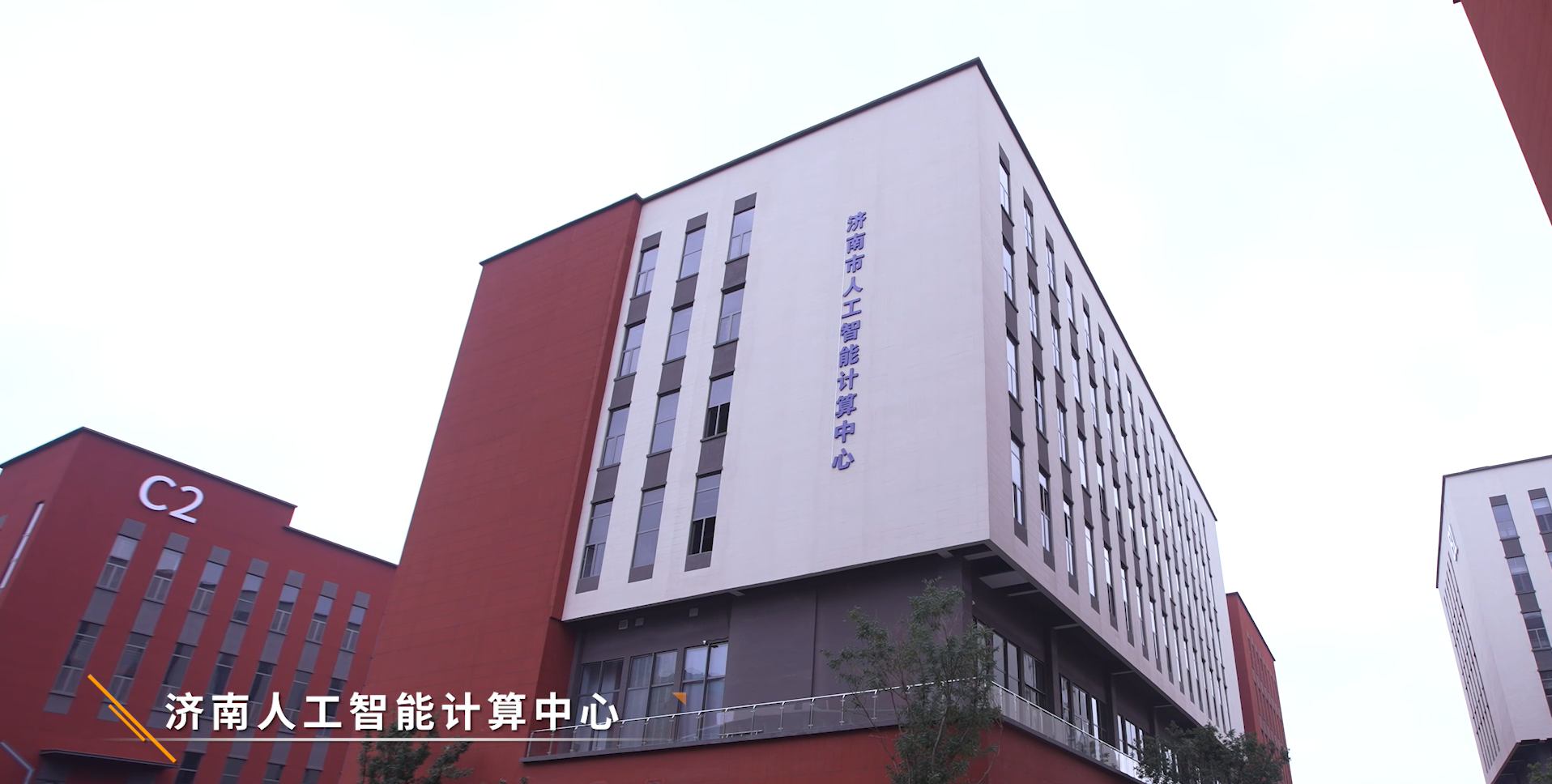  星空真人科...